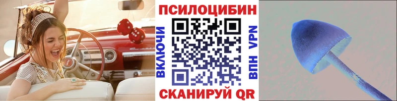 Галлюциногенные грибы Psilocybe  Нытва 