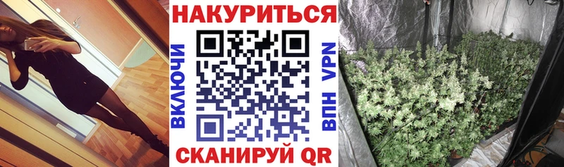 купить закладку  Нытва  Бошки Шишки ГИДРОПОН 